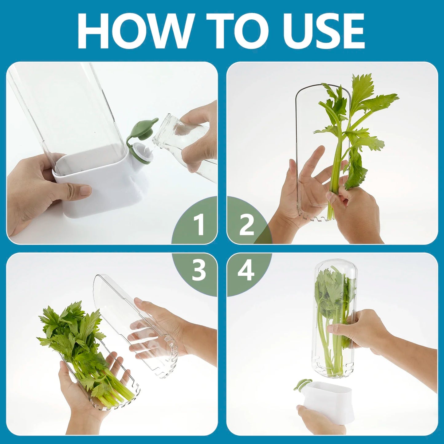 Herb Fresh-keeping Box - Vegetable Storage Container for Refrigerator