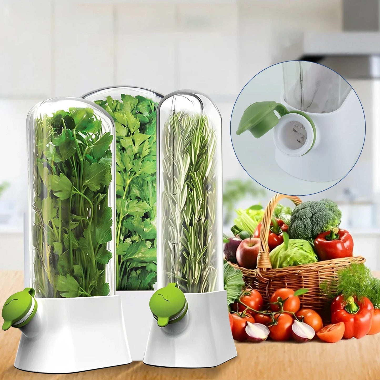 Herb Fresh-keeping Box - Vegetable Storage Container for Refrigerator