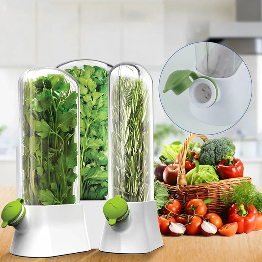 Herb Fresh-keeping Box - Vegetable Storage Container for Refrigerator