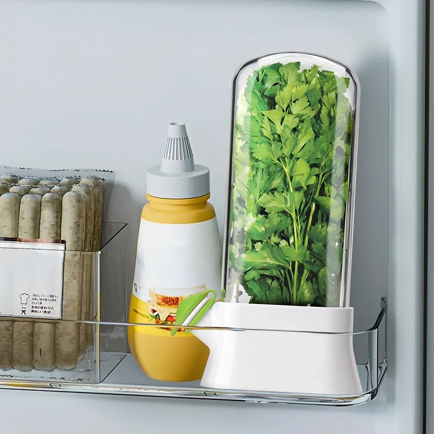 Herb Fresh-keeping Box - Vegetable Storage Container for Refrigerator