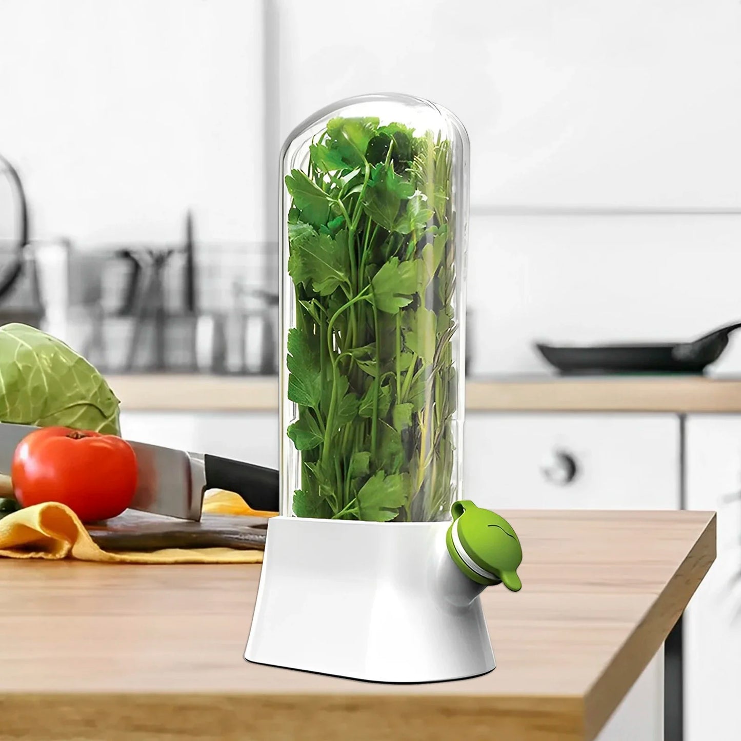 Herb Fresh-keeping Box - Vegetable Storage Container for Refrigerator